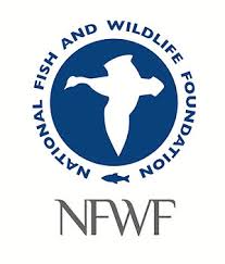 National Fish and Wildlife Foundation